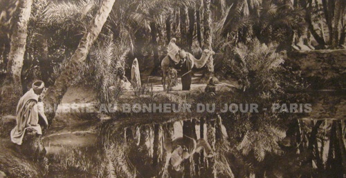 Lehnert et Landrock - Oasis et chameaux Lehnert et Landrock - Oasis et chameaux