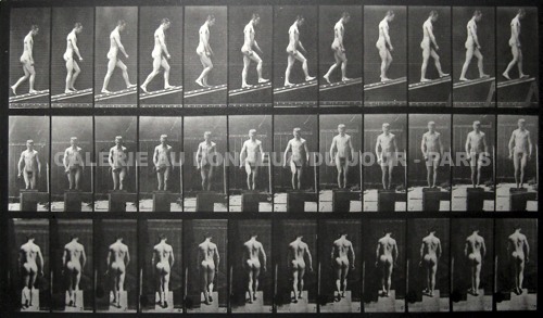 Eadweard Muybridge Eadweard Muybridge