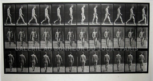 Eadweard Muybridge Eadweard Muybridge