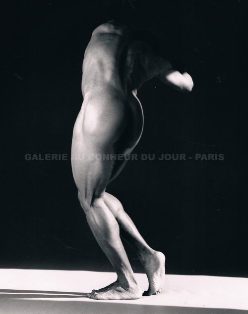 Robert Mapplethorpe - Michael Reed Robert Mapplethorpe - Michael Reed