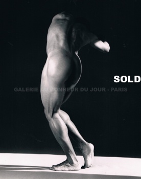 Robert Mapplethorpe - Michael Reed Robert Mapplethorpe - Michael Reed