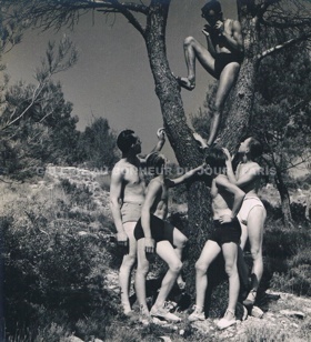 Jeux dans l'arbre jeux dans l'arbre