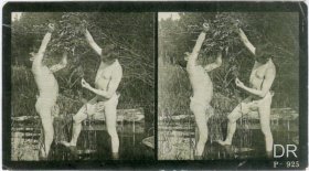 Anonyme 1890