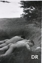 Sieste dans les hautes herbes, de Yves Paradis