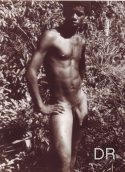 extrait du catalogue Beauts Exotiques, nus fminins, nus masculins
